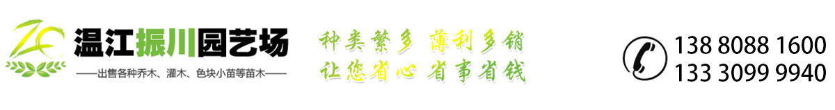 成都苗木批發基地